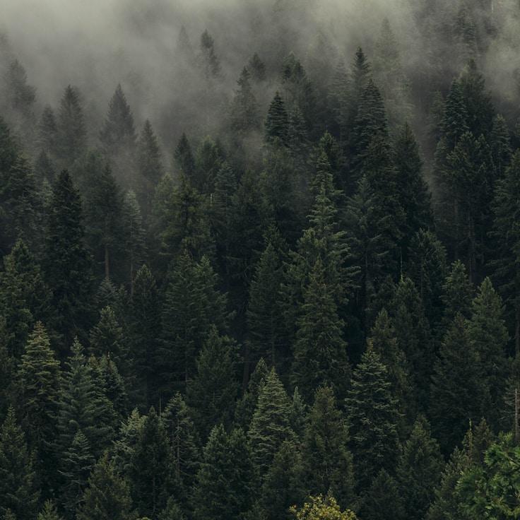 Nature travel hero image